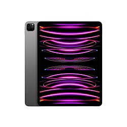 Apple iPad Pro 13" 256 GB MVXR3HC/A - Space Gray