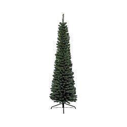 Novogodišnja jelka Pencil Pine 240 cm